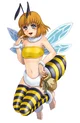 Honey Bee