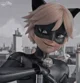 Cat Noir