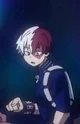 Todoroki Shoto