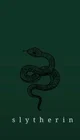 Slytherin boys