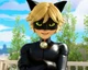 Chat noir