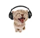 Headphone Cat