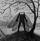 The Mothman
