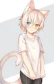 Veile the Neko