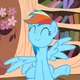 Rainbow Dash
