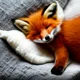 Cute Pet Fox