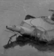 Panzer of the Lake