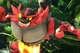 Creepy incineroar 