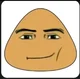 Layon kkj 