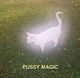 Gato Magic 