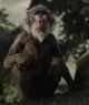 Rafiki 2019 Film