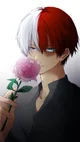 Shoto Todoroki 