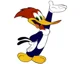 Woody woodpecker 