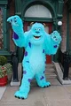 real Sulley