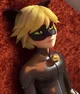Cat noir 
