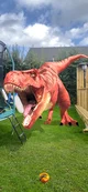 Red Rex