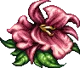 Rafflesia -FFVI-