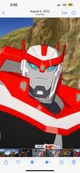 RID Ratchet