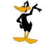 Daffy duck 