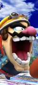 Wario