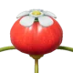 pikmin 4 onion