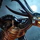 Xenomorph