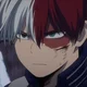 Shoto todoroki