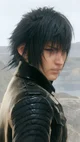 Noctis Lucis Caelum