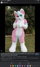 Furry