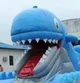 Whale Bounce House