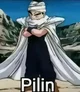 Pilin