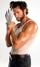 Wolverine - Logan