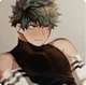 Izuku Midoriya 