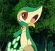 Snivy Pokemon
