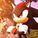 Shadow the Hedgehog