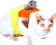 Candy corn cat
