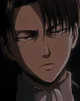 Levi Ackerman 