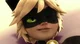 Cat noir