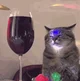 vegas cat