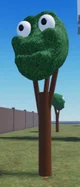 scoobis tree