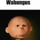 Wabungus