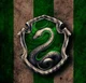 Slytherin boys