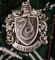 The slytherins