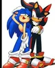 sonic x shadow