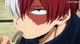 Todoroki