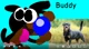 Buddy The Dog