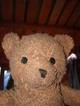 my teddy bear 