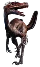 Velociraptor rpg