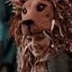 Luna lovegood 