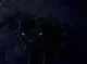 Hollyleaf